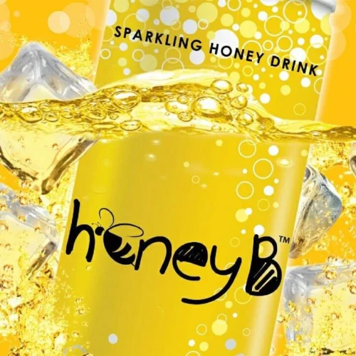 c3898202639e4c9825e5569ce9a6da0e.webp Honey B Sparkling Honey Drink 250ML X 6
